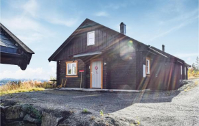 Nice Home In Kongsberg With Sauna
